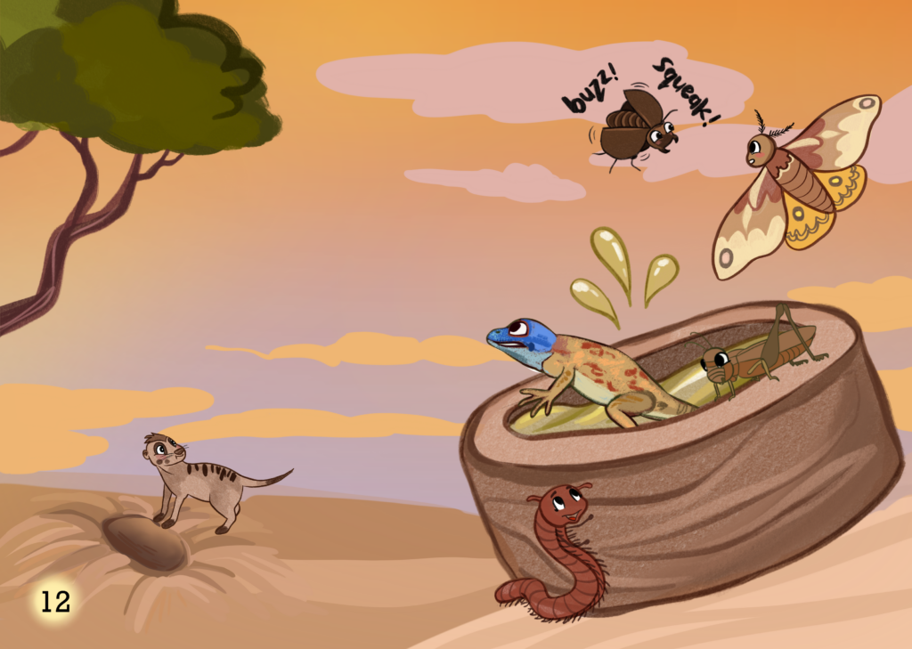 Meerkat Escapade 