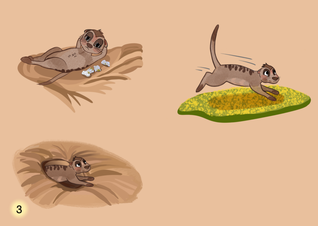 Meerkats Playing